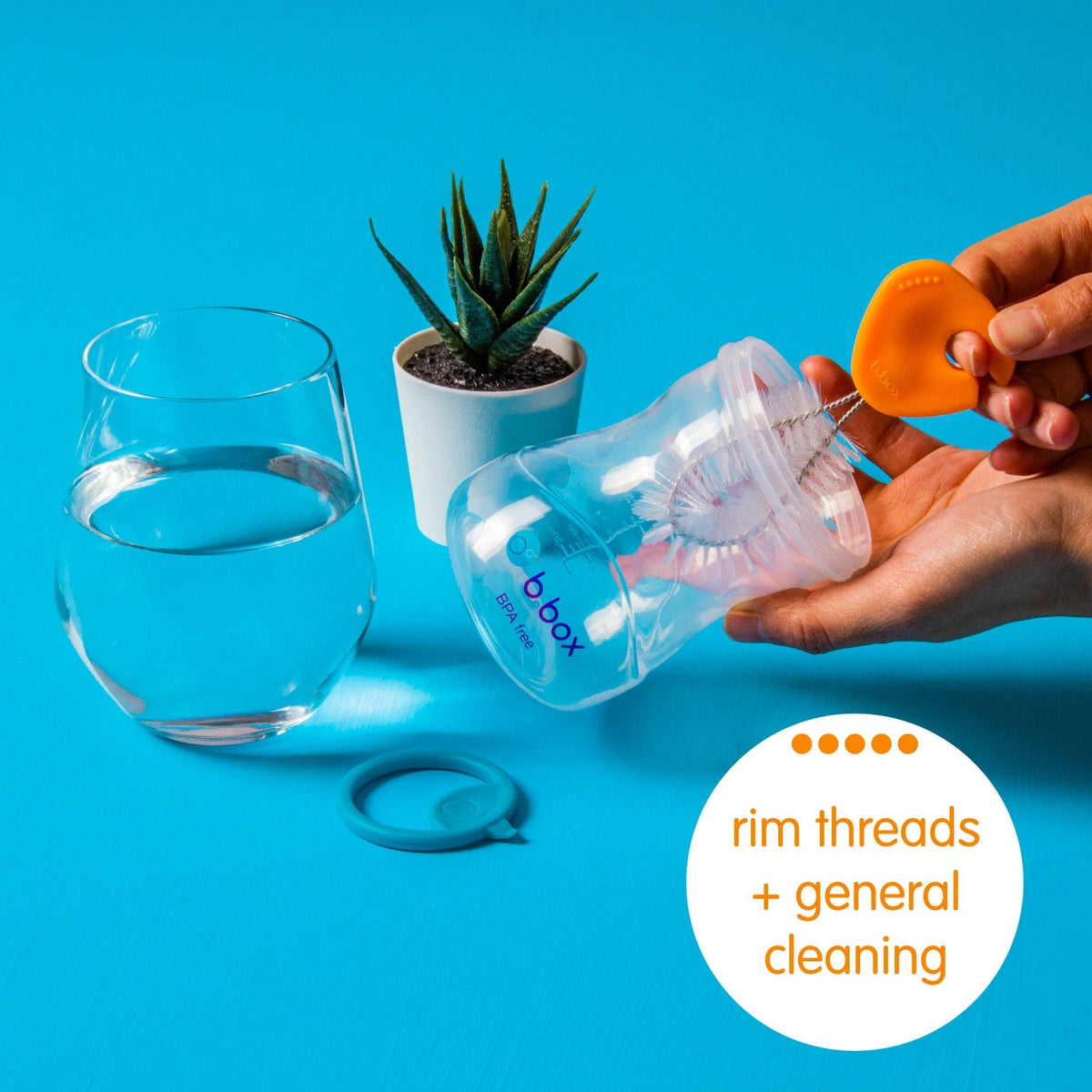 B.Box Cleaning Brush Set - Bloom Pharmacy