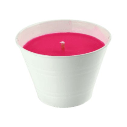 Candle Connection Small Lemon Scented Mosquito and Flying Insect Repellant Citronella Candle Bucket - Bloom Pharmacy