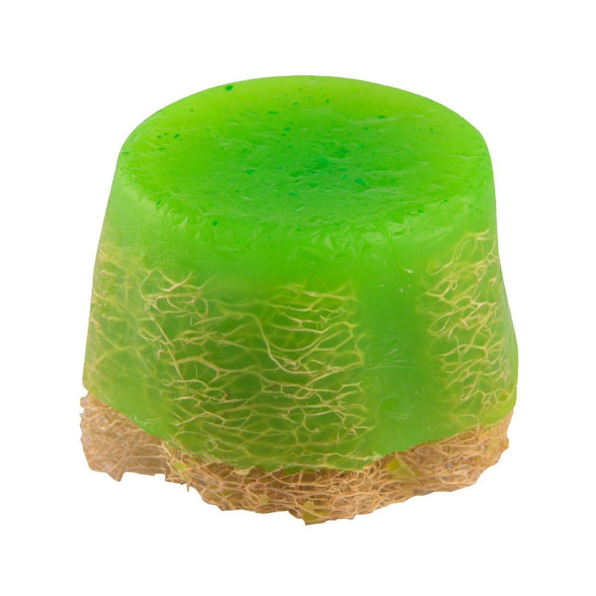 Bubblzz Loofah Scrub Handmade Soap - Bloom Pharmacy