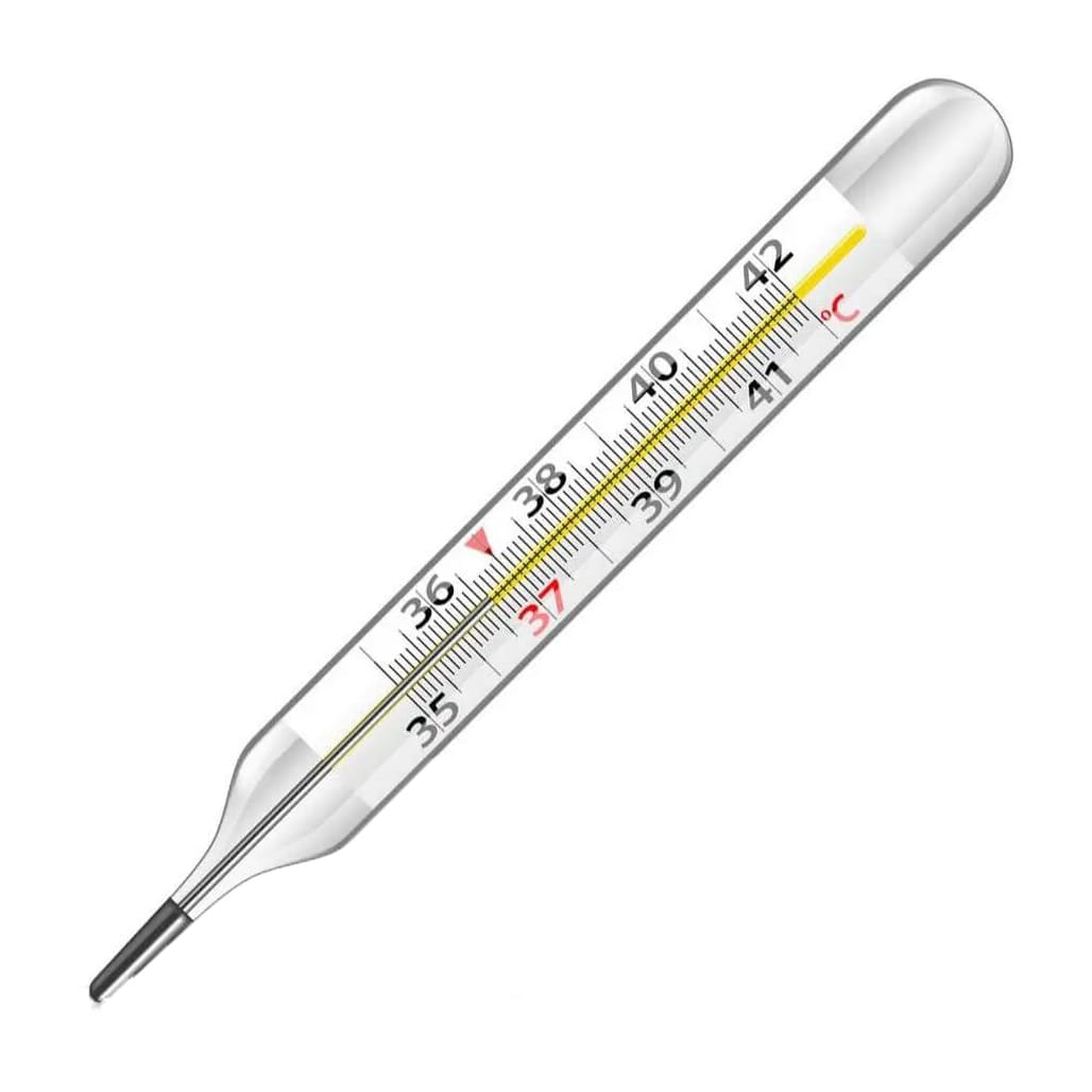 Clinical Mercury Thermometer - Large - Bloom Pharmacy