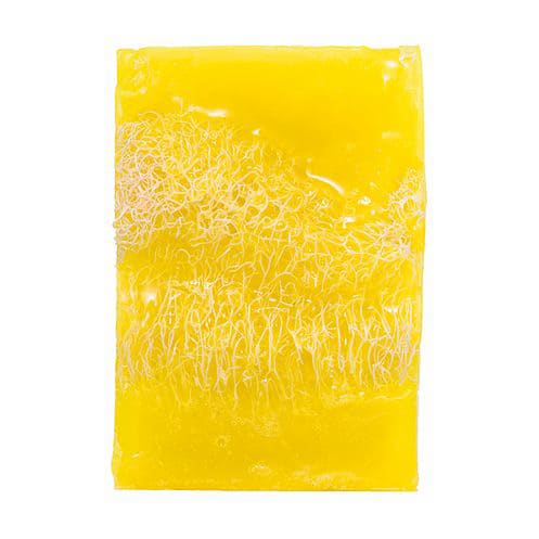 Soul & More Loofah Soap Bar For All Body Types - Bloom Pharmacy