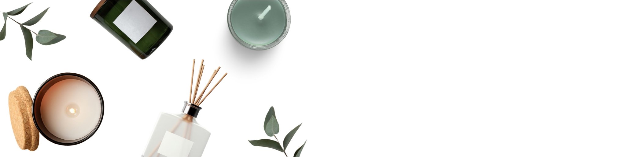 Limitless Allzyme Max - 20 Tablets | Bloom Pharmacy