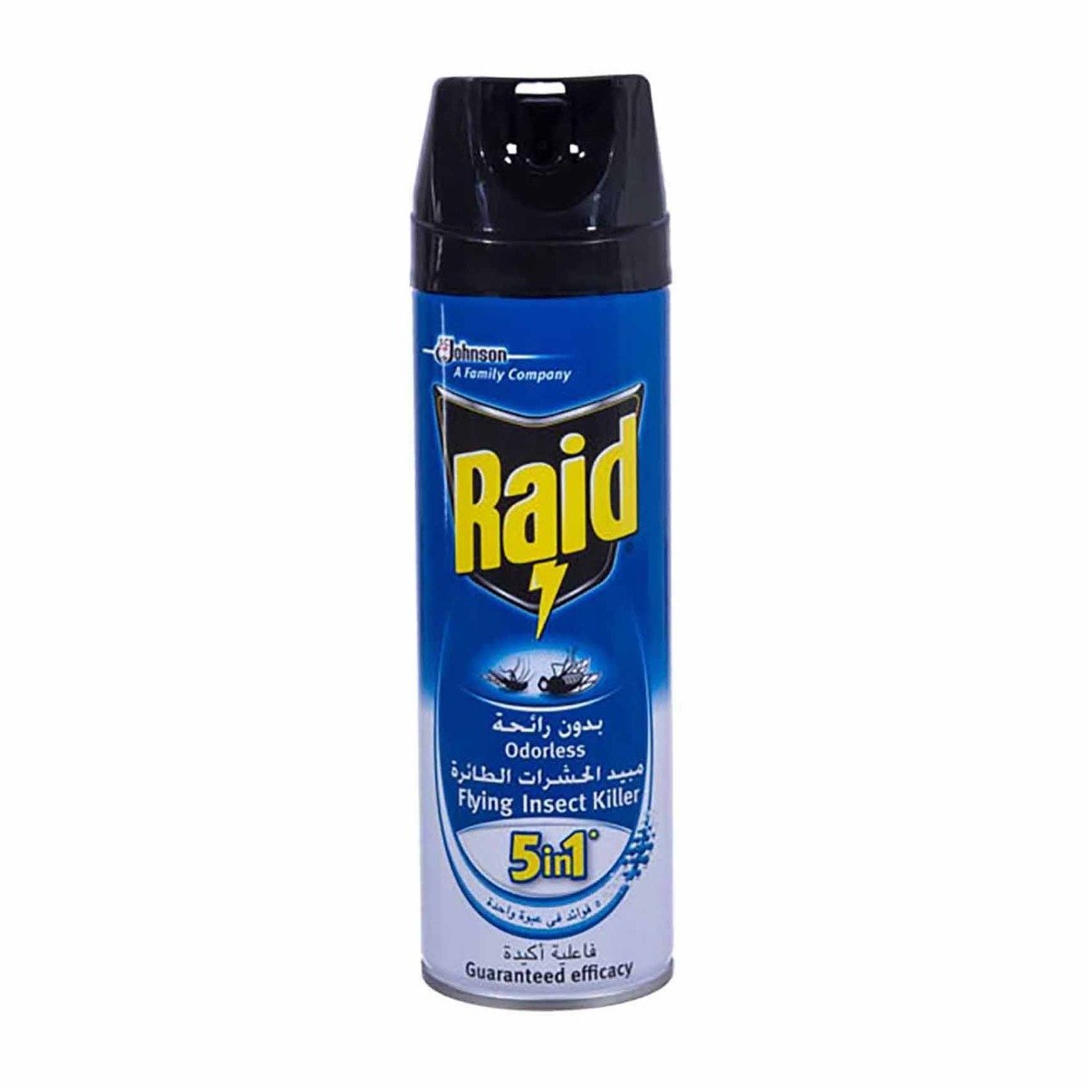 Raid Odorless 5 In 1 Flying Insect Killer Spray - 400ml - Bloom Pharmacy