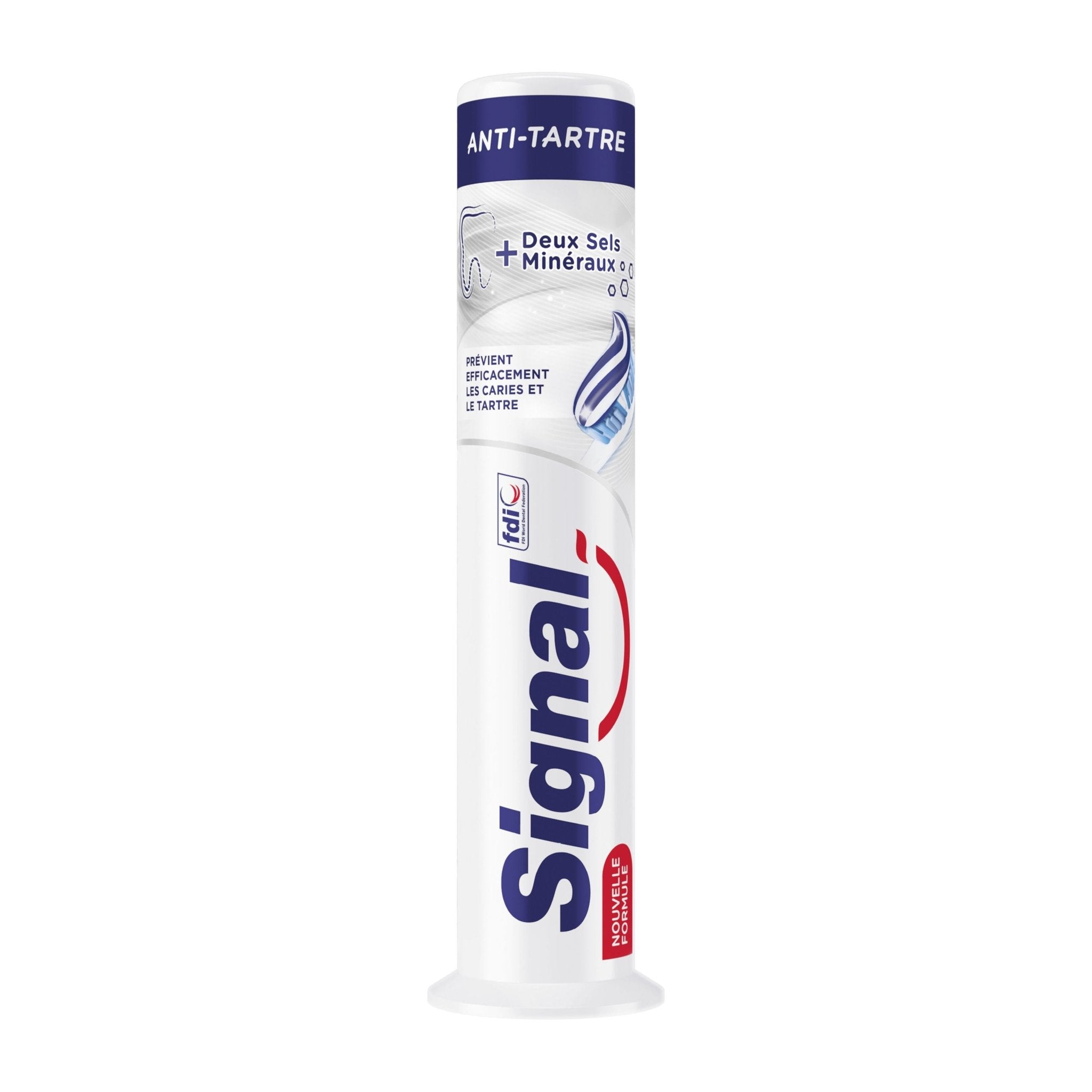 Signal Anti Tartar Protection Toothpaste - 100ml - Bloom Pharmacy