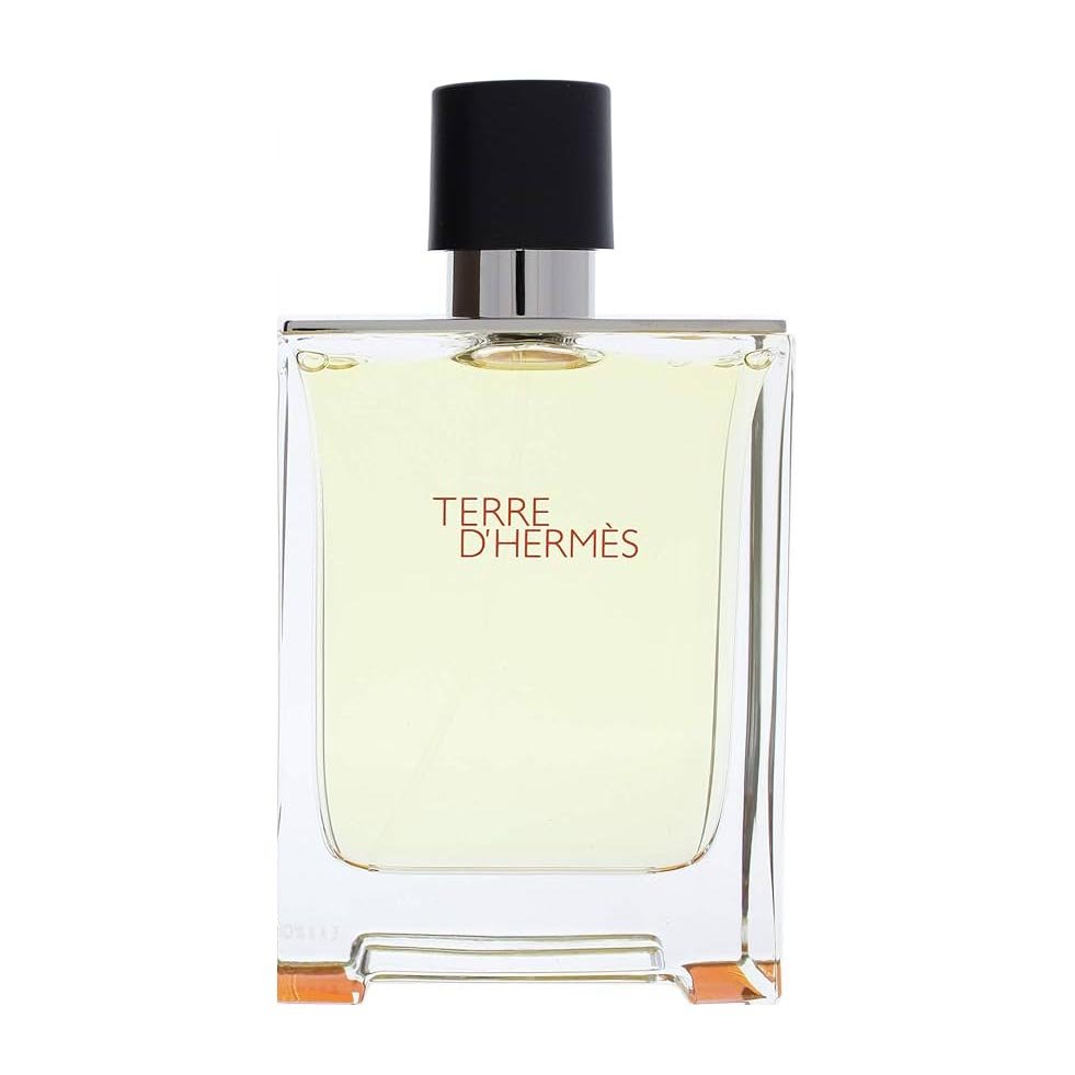 Hermes Terre D'hermès Hermès EDT For Men – 100ml - Bloom Pharmacy