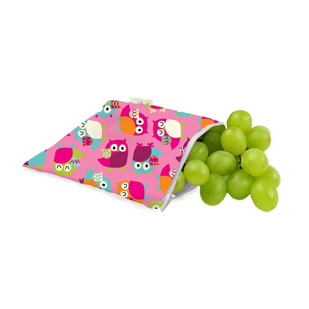 Itzy Ritzy Reusable Snack and Everything Bag