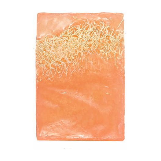 Soul & More Loofah Soap Bar For All Body Types - Bloom Pharmacy